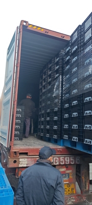 600*400mm ESD Pudełka plastikowa ESD Pudełka magazynowa ESD Pudełka przewodząca do części elektronicznych